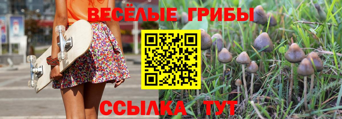 Псилоцибиновые грибы Psilocybine cubensis Магадан
