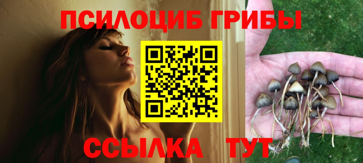 Галлюциногенные грибы Psilocybe  Вход с VPN  Магадан 